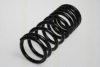 TRISCAN 8750 1617 Coil Spring